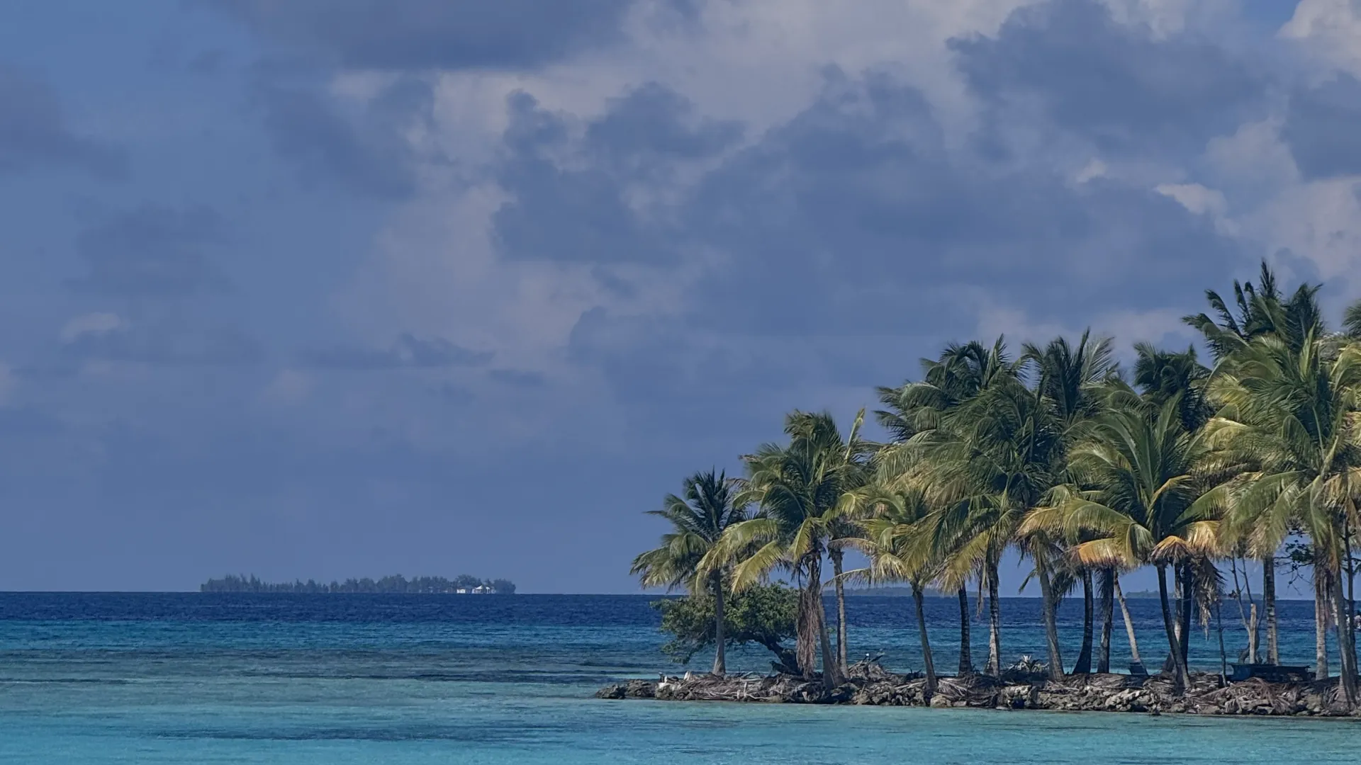 Coconut palms at the edge of Moho Caye over turquoise shallows, with another caye on the horizon