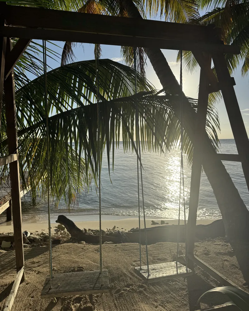 Two wooden swings on the beach at Ranguana Caye, under the palms, with sunlight on the water