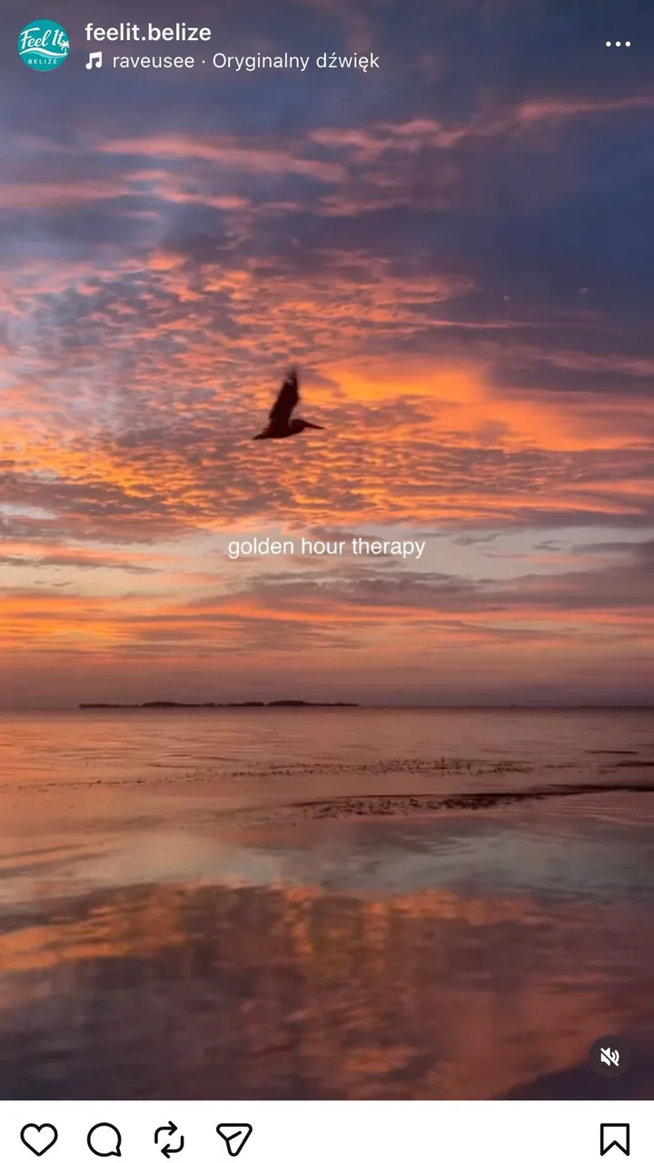 A moment from a Feel It Belize charter