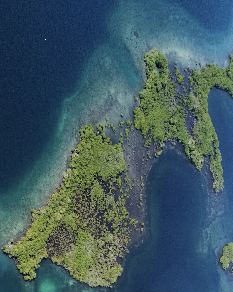 Aerial view of the mangroves of Lark Caye, ringed by deep blue water